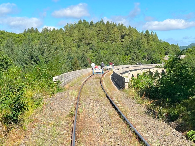 Fahrraddraisine & Zug von Larzac