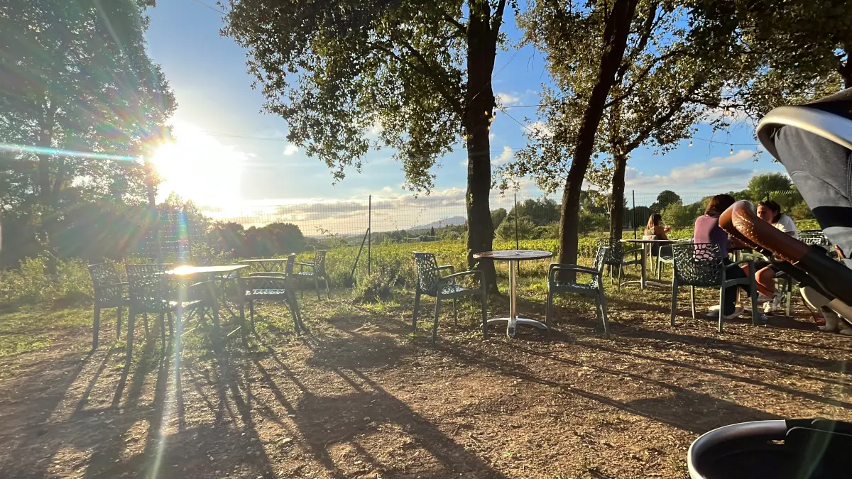 Guinguette Belles Croix Rubin — 2