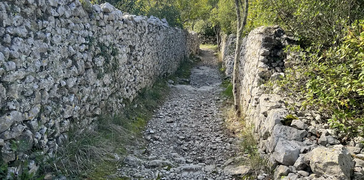 La mer des rochers | Sauve — 2