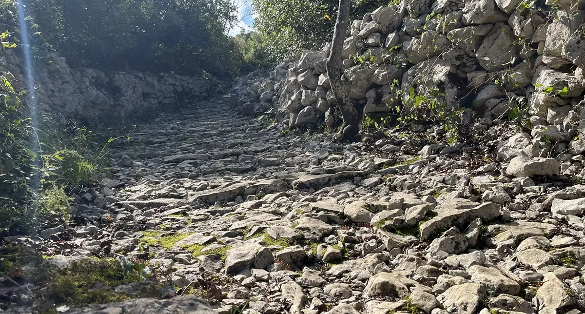 La mer des rochers | Sauve — 3