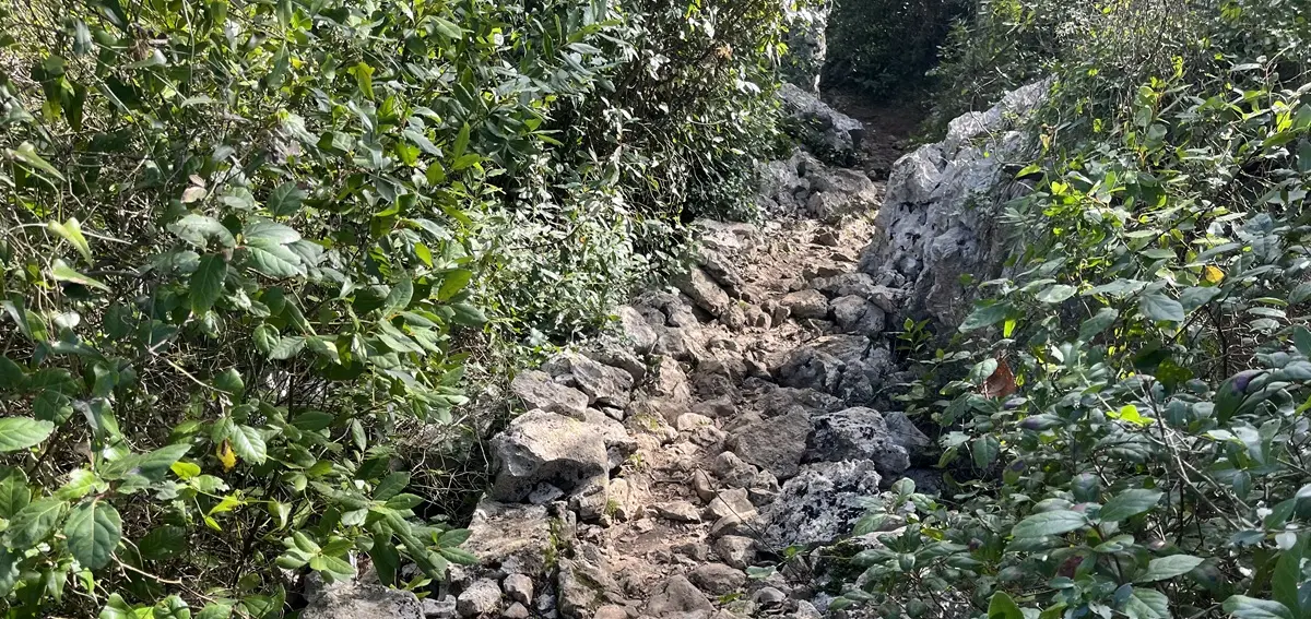 La mer des rochers | Sauve — 7