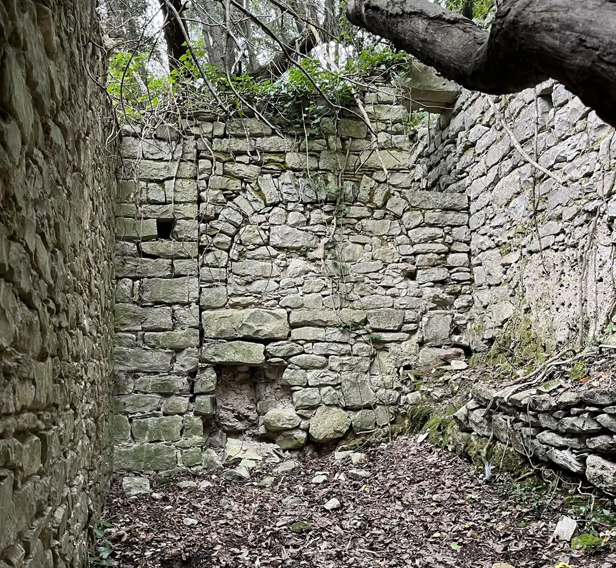 Ancien moulin de lafous — 15