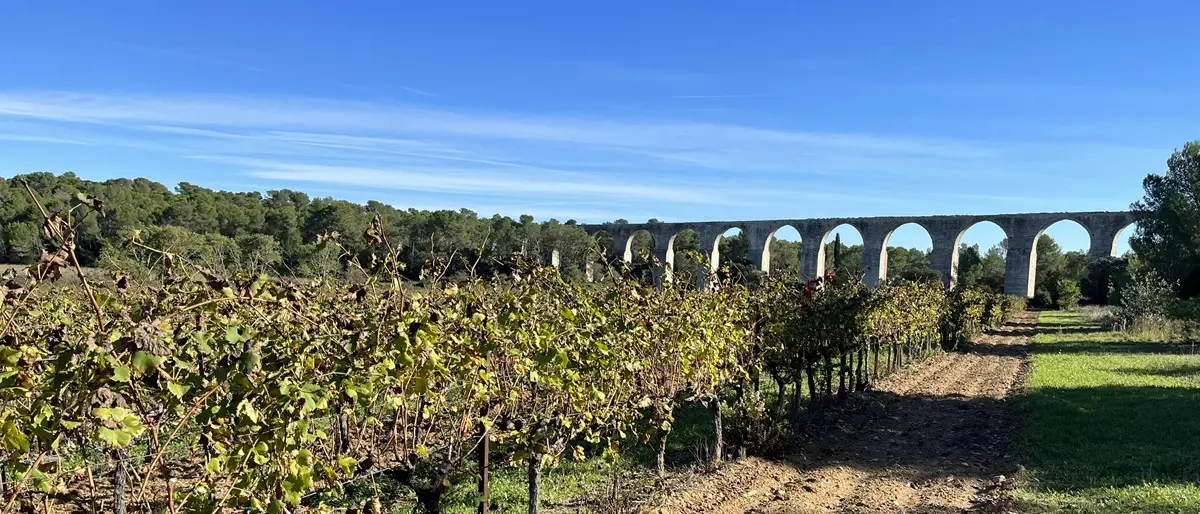 Sur les traces du mouflon - für heiße Tage — 3