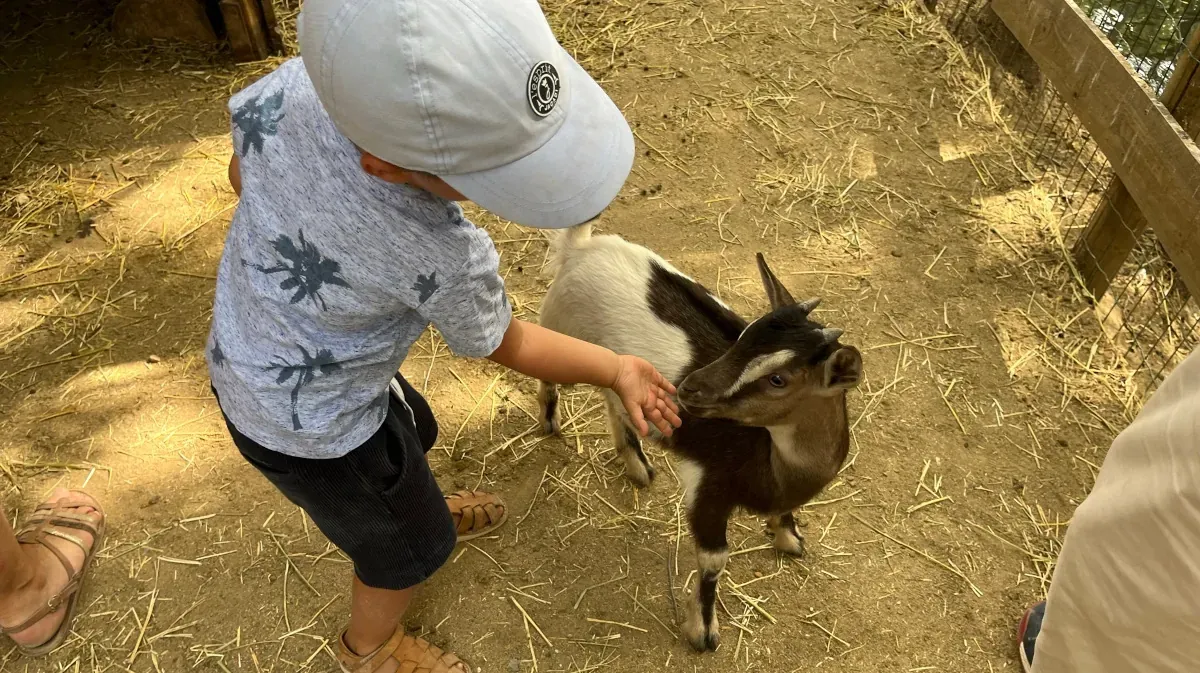 Les petits fermiers — 1