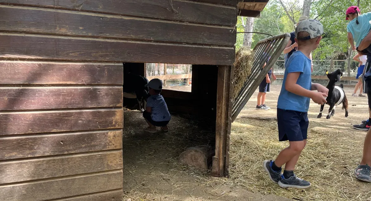 Les petits fermiers — 2