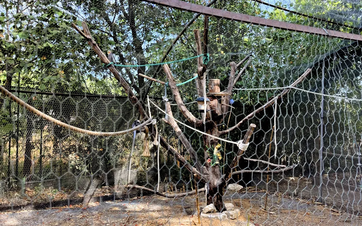 Les petits fermiers — 3