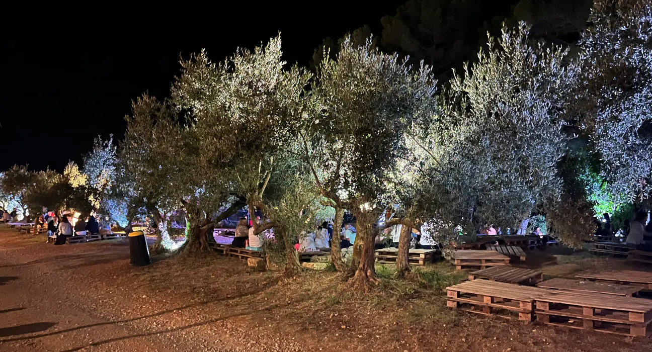 Vin éstival - Domaine Arbousier — 4